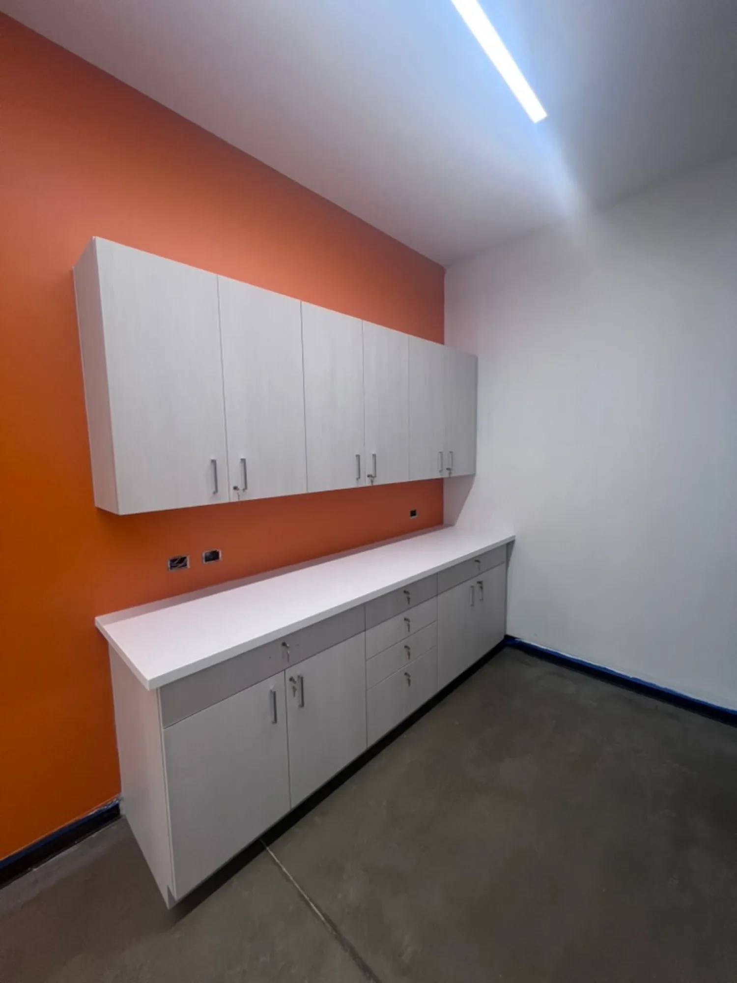 Custom commercial millwork project by Pio Custom Cabinetry