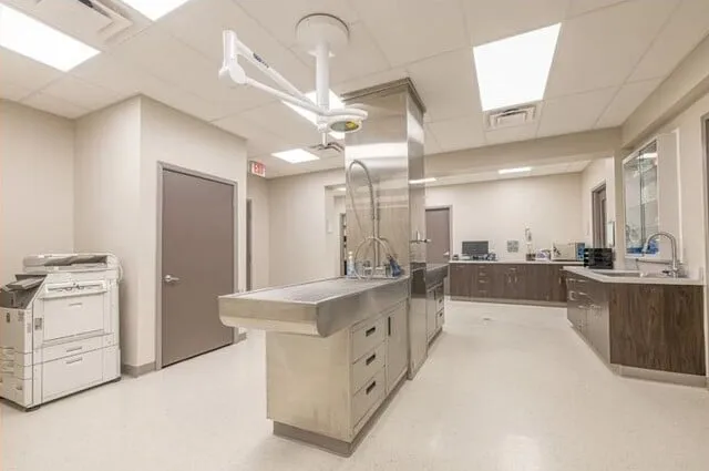Medical procedure room with stainless-steel casework and integrated millwork
