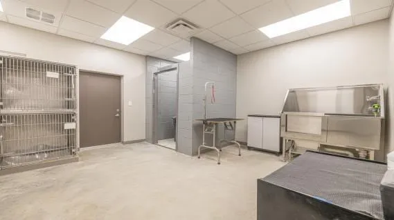 Custom healthcare and medical office casework by Pio Custom Cabinetry